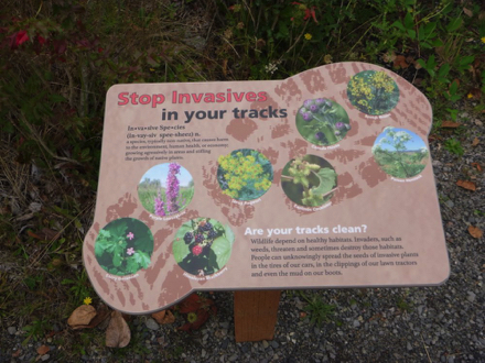 Sign explaining invasive plants species on shoes – shoe cleaning station with boot brush Sign explaining invasive plants species on shoes – shoe cleaning station with boot brush